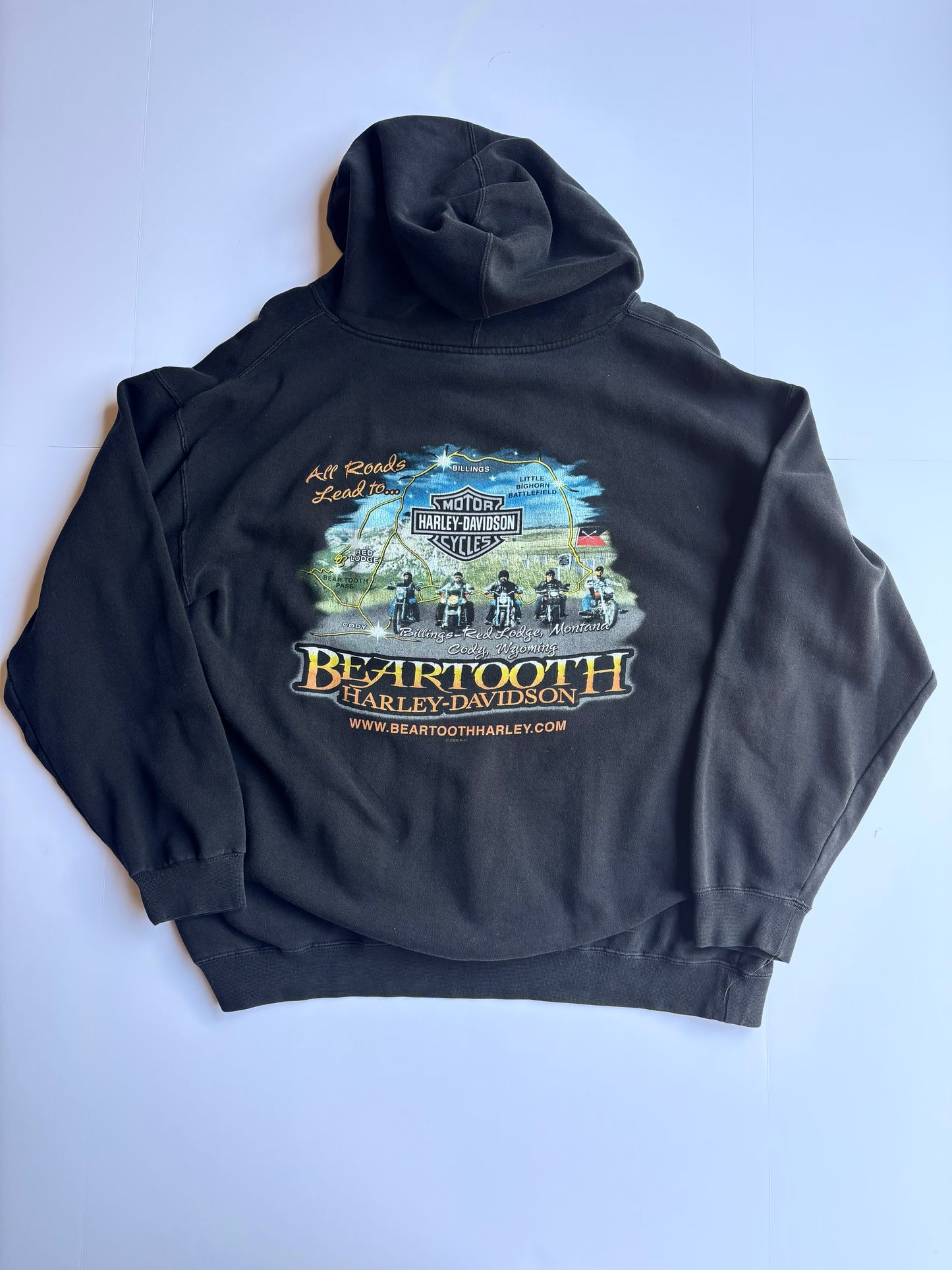 Vintage Harley Davidson Hoodie (L)