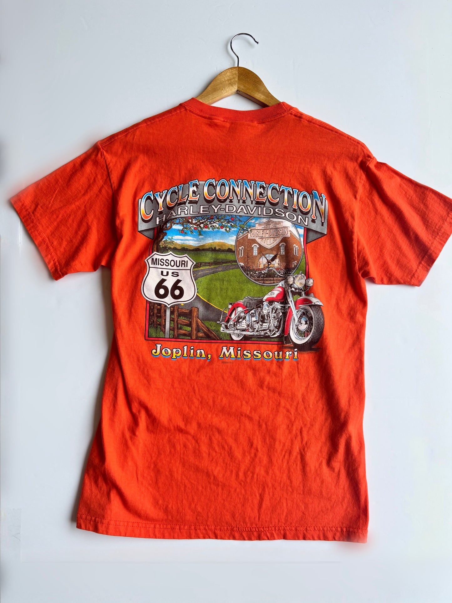 Vintage Y2K Harley Davidson Missouri Tee (M)