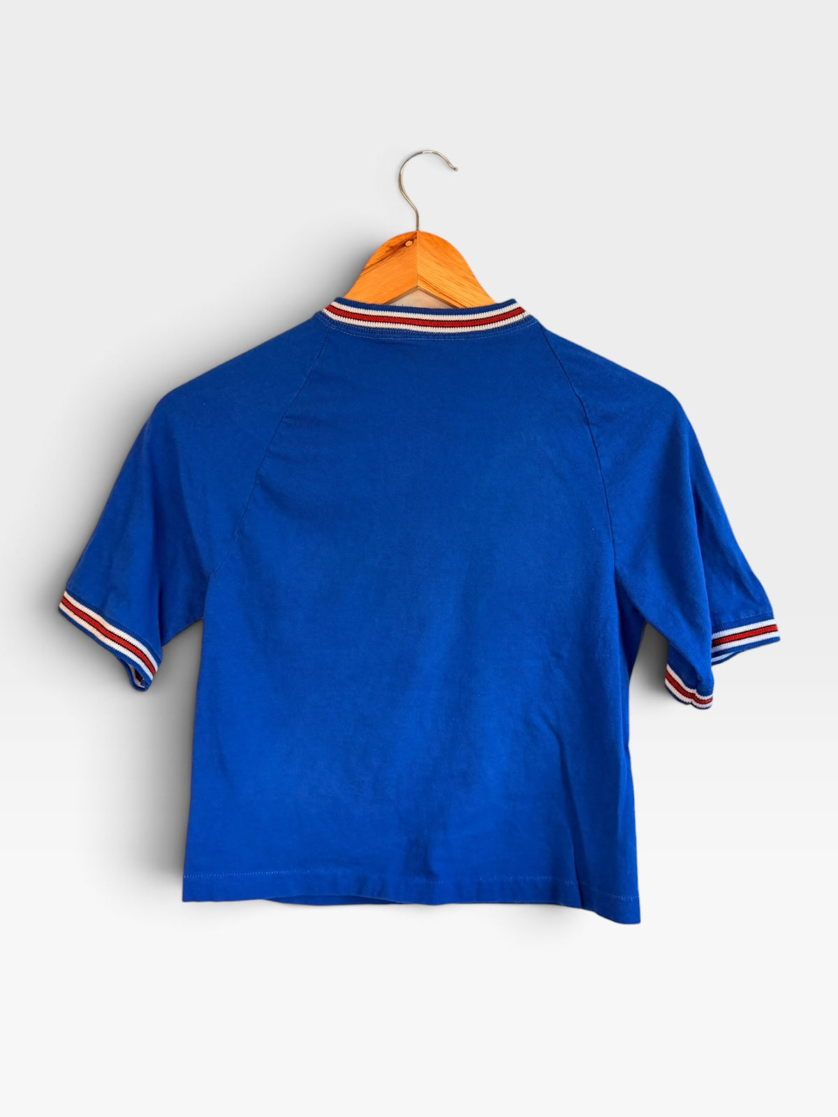 Back view of 225 Threadz blue vintage-style cotton soccer t-shirt with red, white, and blue striped trim on sleeves.