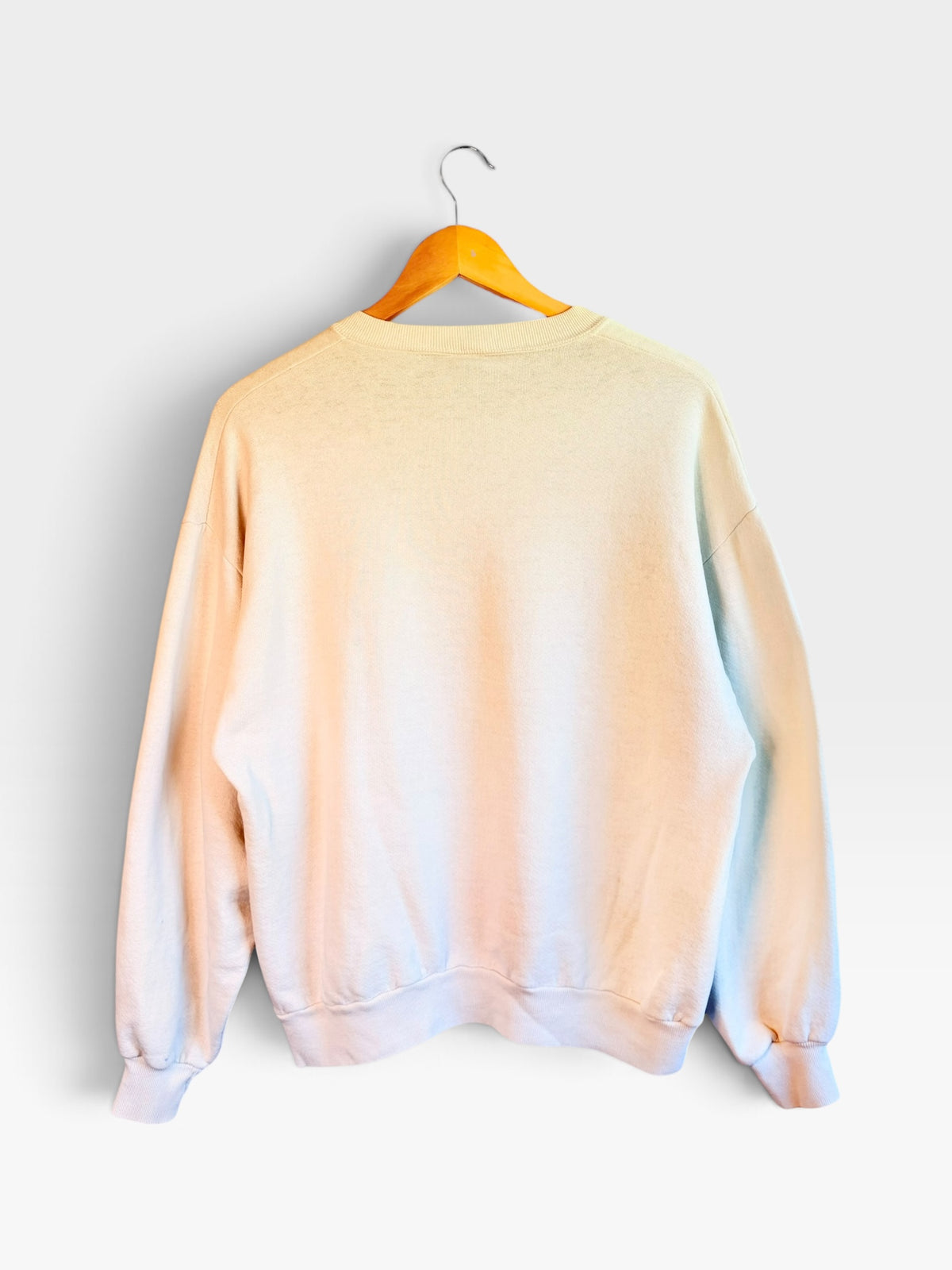 Back view of a 225 Threadz vintage off-white crewneck sweatshirt with ribbed cuffs and hem hanging on a wooden hanger.