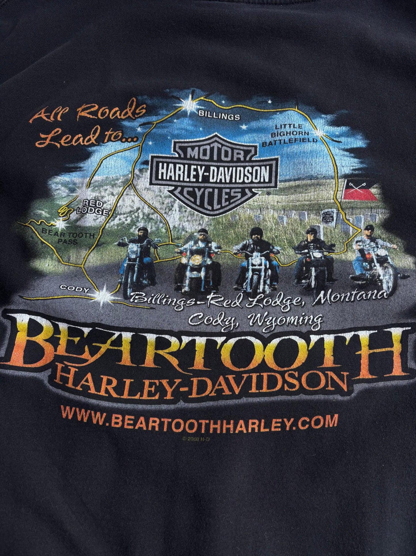 Vintage Harley Davidson Hoodie (L)