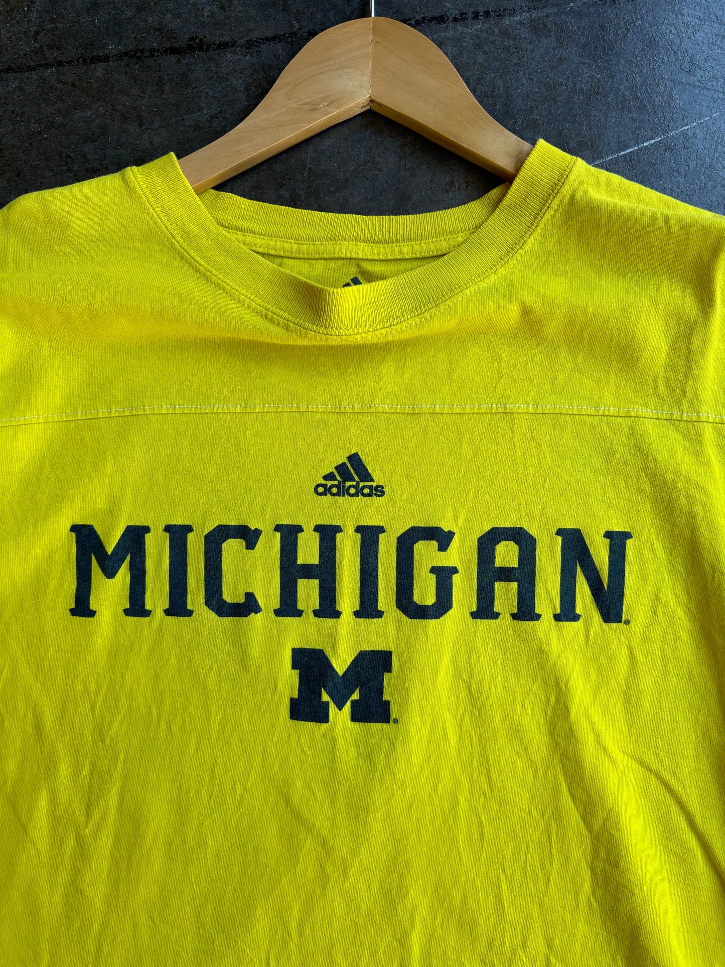 Vintage 00’s Adidas Michigan Tee (XL)